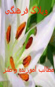 فرهنگی زرین دشت