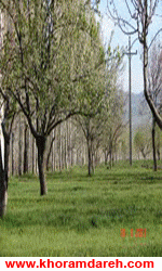 جامعه مجازي خرمدره