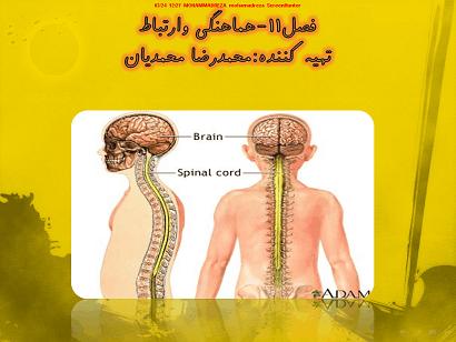 میناب علوم