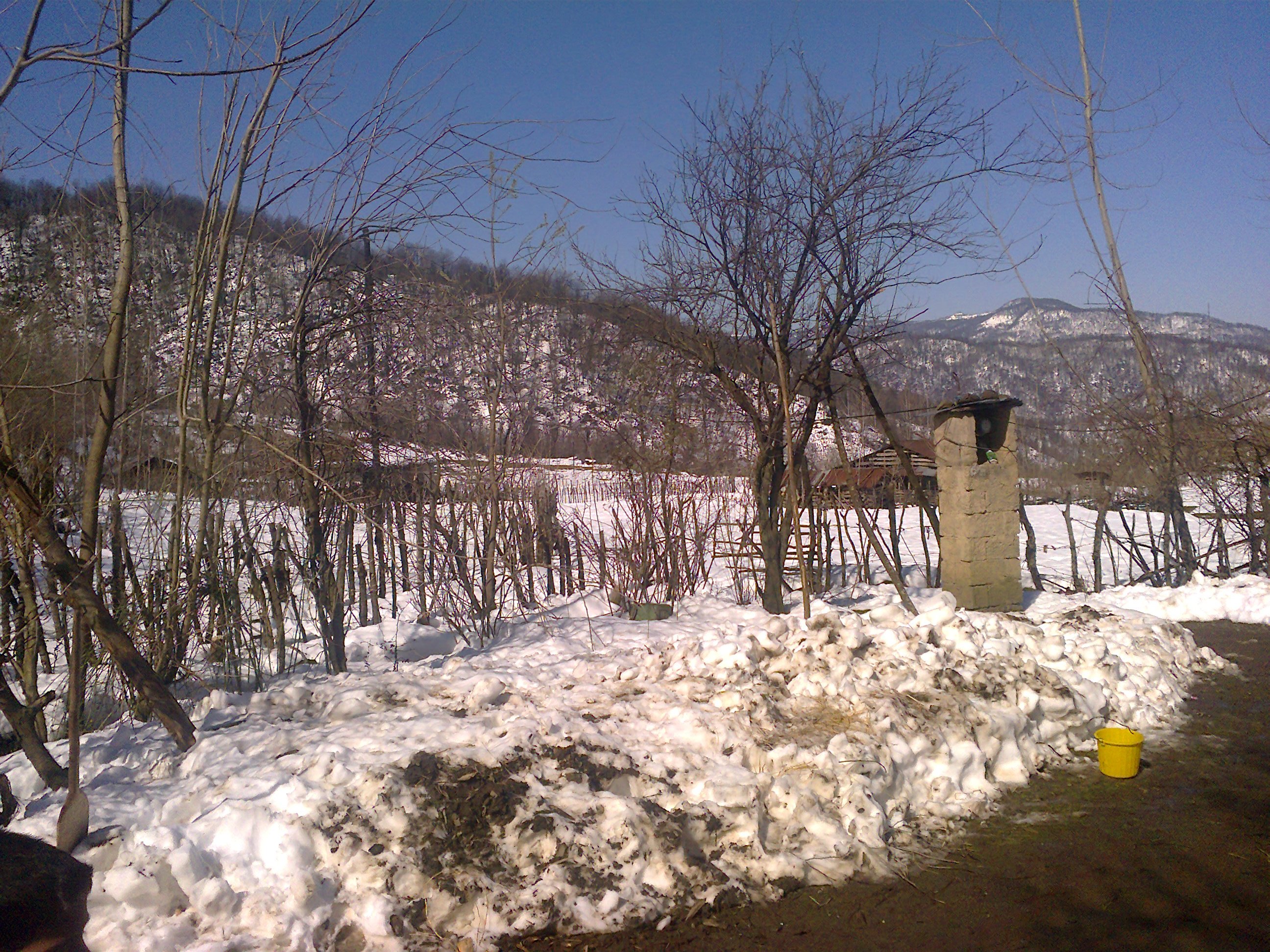 http://s1.picofile.com/file/7337441070/C_RONALDO0824.jpg
