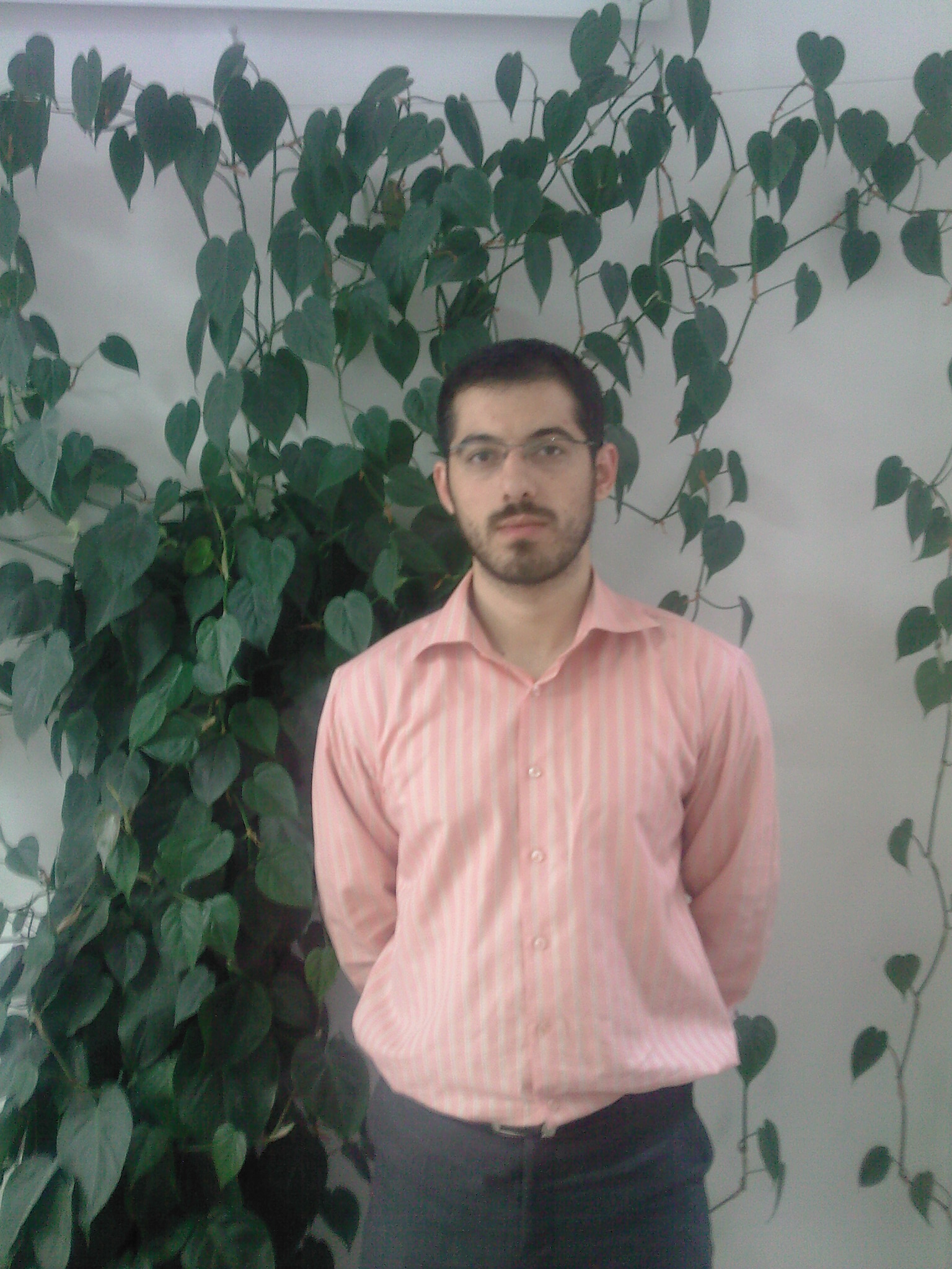 mostafavi