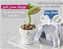 لوبیای سحر آمیز با پیام فارسی