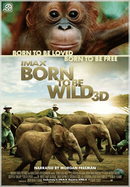 46 دانلود مستند Born to Be Wild 2011