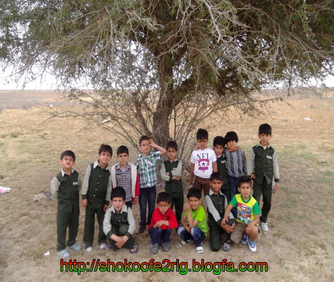 شکوفه 2 بندرریگ