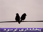 http://s1.picofile.com/file/7350039137/%D9%BE%D8%B1%D9%86%D8%AF%D9%87_%D8%B1%D9%88%DB%8C_%D8%B3%DB%8C%D9%85.jpg