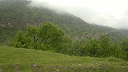هوای مه آلود