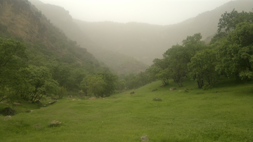 گرد و غبار مزاحم