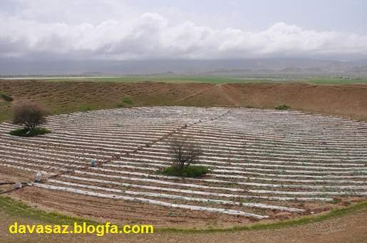 مزرعه از بر فراز تاریخ