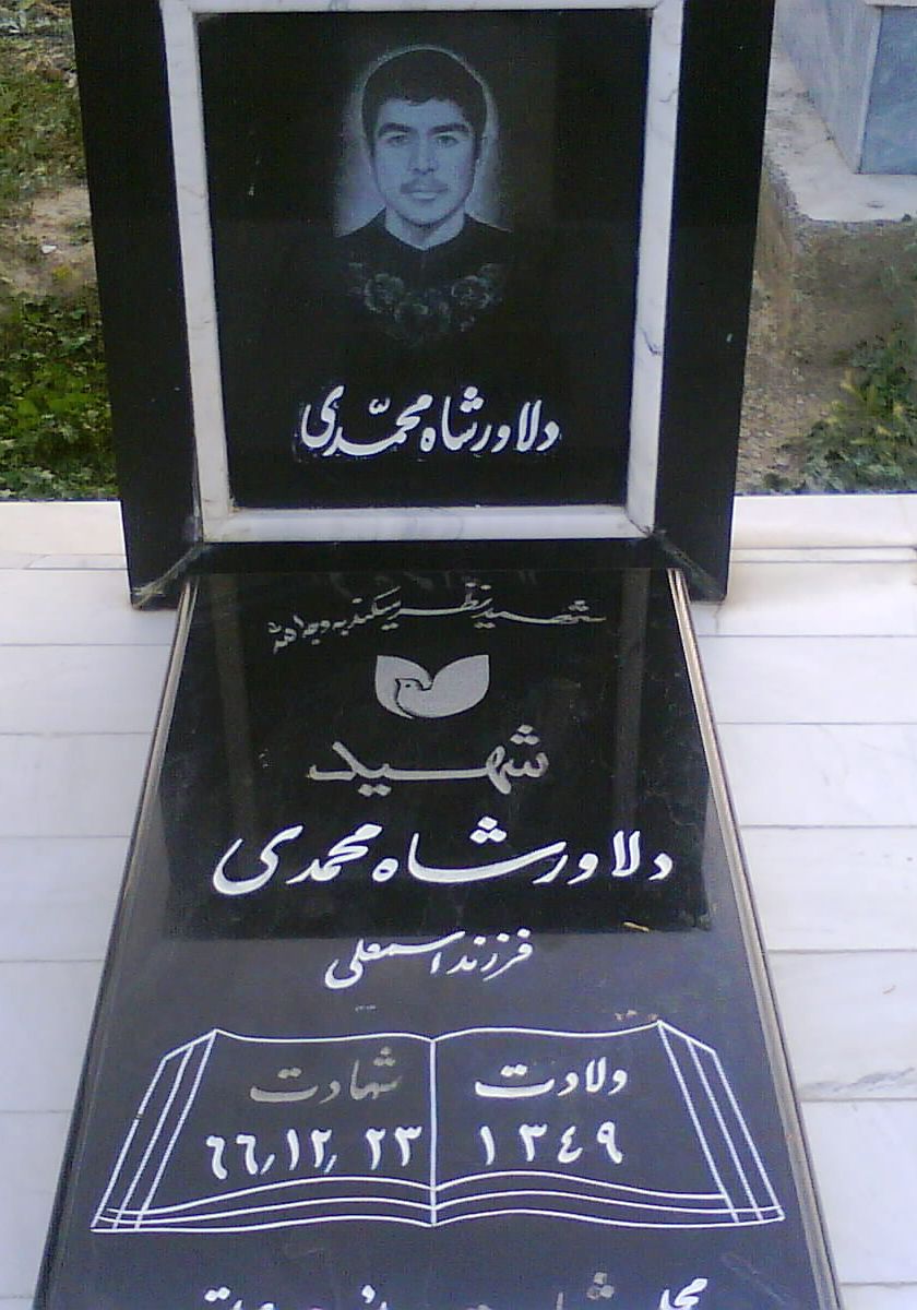 شهید دلاور شاه محمدی 