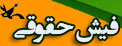 مشاهده فیش حقوقی