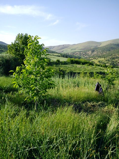 عکسهای طبیعت لرستان