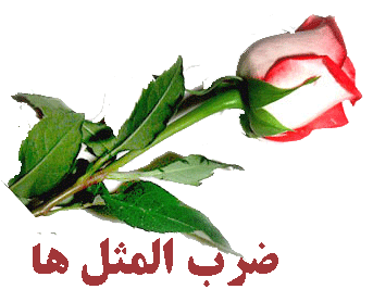 www.noet.in ضرب المثل ایرانی