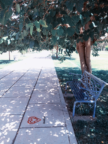 the bench