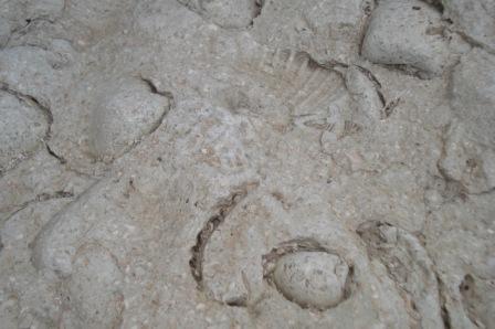 کوه قلعه