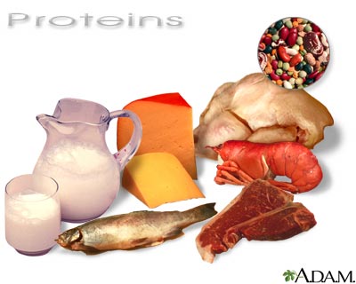 نقش پروتئین ها
