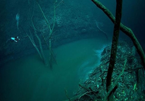 4517_13386.jpg