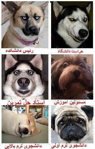 http://hamechi4bir.rozblog.com/