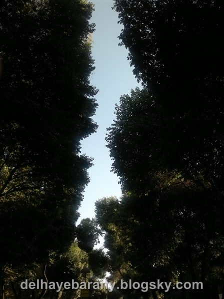http://s1.picofile.com/file/7517027311/021020121684.jpg