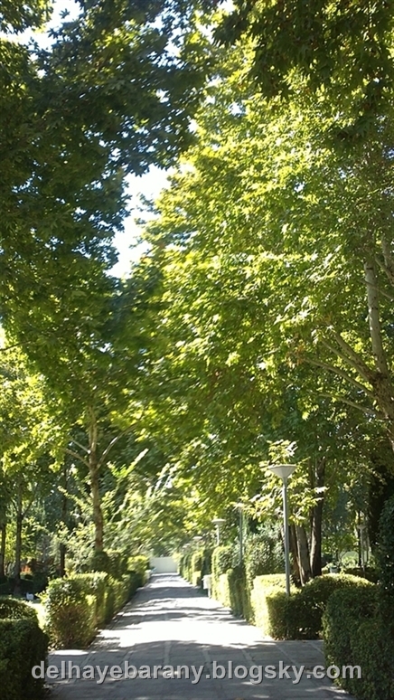 http://s1.picofile.com/file/7517027953/14072013063.jpg