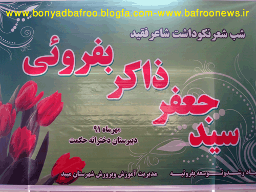 bafroonews_1_.gif (500×375)