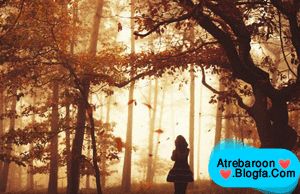 |http://www.atrebaroon.blogfa.com|عکس های عاشقانه|http://www.atrebaroon.blogfa.com|