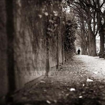 جدیدترین عکس ،دار تصاویر شرح در عکس، عکس،،والپیپر ،والپیپر موبایل