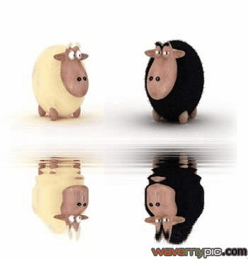 http://s1.picofile.com/file/7537477197/mohsensms_blogsky_com_572_.gif