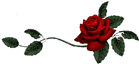 http://s1.picofile.com/file/7538950321/%DA%AF%D9%844.gif