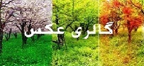 برای نمایش تصاویر گالری کلیک کنید