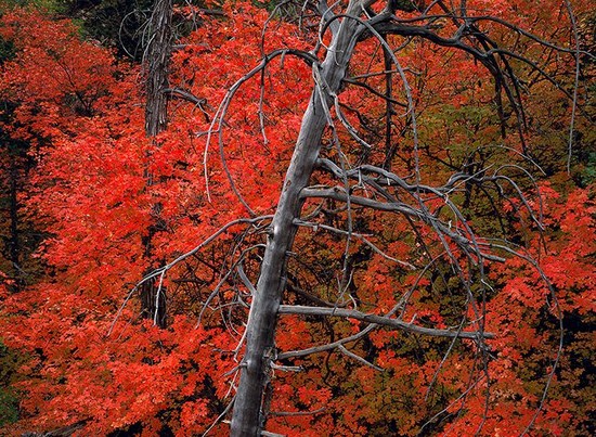   مجموعه عکسهای نفس گیر از طبیعت(سری اول)