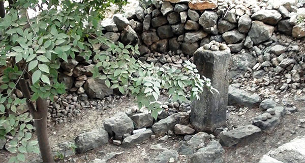 کمفه