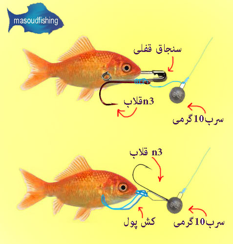 چطور ماهی بزرگ بگیریم