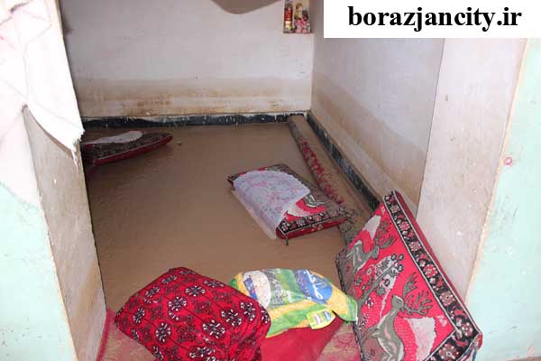 خسارت بارندگی در برازجان