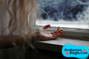 |http://www.atrebaroon.blogfa.com|عکس های عاشقانه|http://www.atrebaroon.blogfa.com|