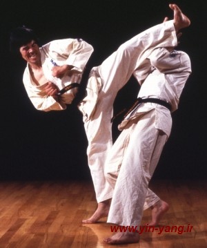 http://s1.picofile.com/file/7569629244/karate.jpg