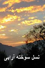 نسل سوخته آرابــــــــــــــــــــی  
