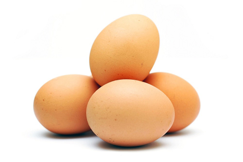 ساختار تخم و شرایط تخم مرغ