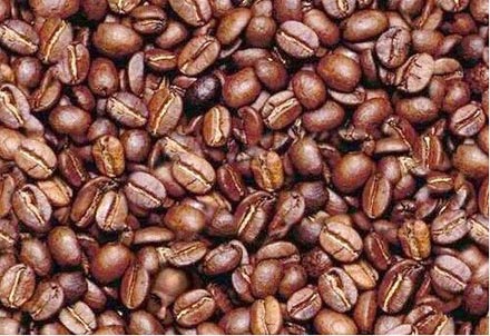 تست هوش