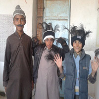 سکه