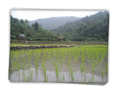 www.BandpaySH.BLogfa.com