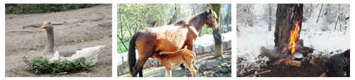 www.BandpaySH.BLogfa.com