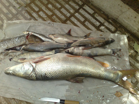 http://s1.picofile.com/file/7638442789/13_11_91_4_.jpg
