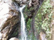 برنامه تورها