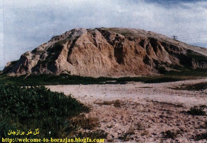 تل مر برازجان