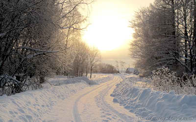 والپیپیر + زمستان + برف + جاده برفی + کیفیت عالی + hd