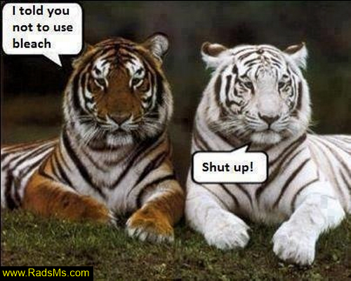 pic_funny_radsms14.png