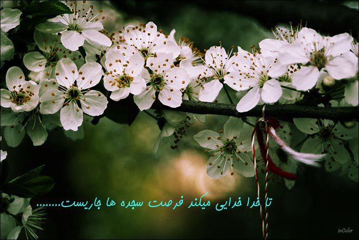 IMAGE(http://s1.picofile.com/file/7667115913/8888.jpg)