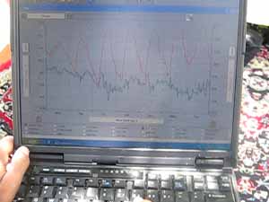کلینیک گیاهپزشکی کلینیک گیاهپزشکی