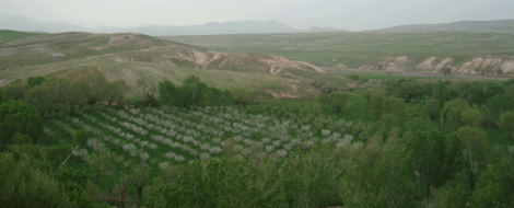 تصاویر روستای عرقطو سری (101)