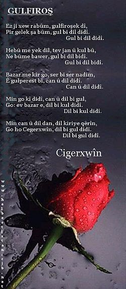 شیعری گوڵفرۆش لە جگەرخوێن-كتێبخانه ی كوردی ئه وين